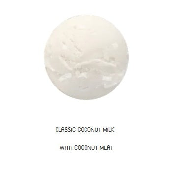 Coconut Milk Flavored Ice Cream 2.8 - 3kg x 4trays